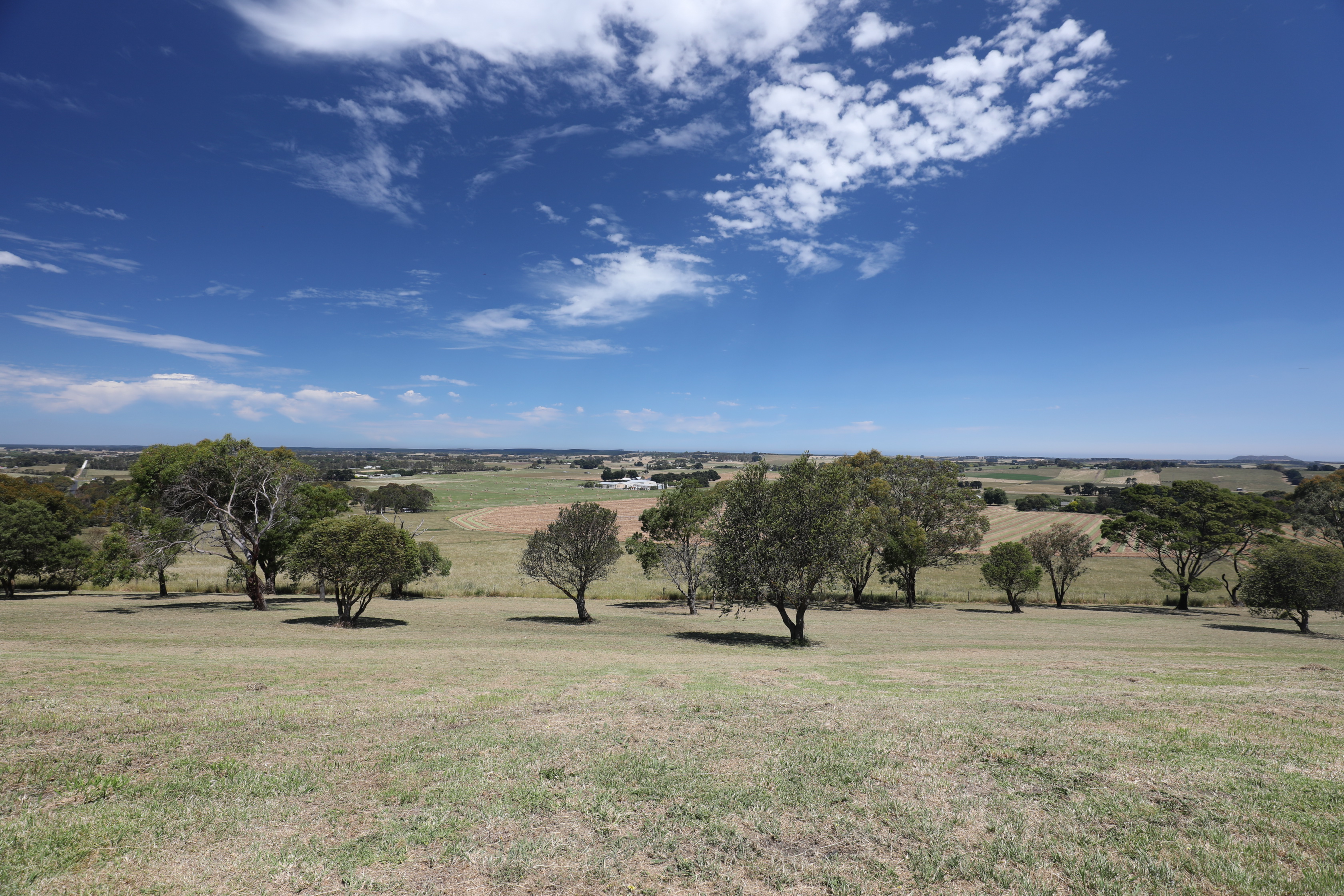 2019 12 16 14 45 44 Canon EOS 5D Mark IV 0018